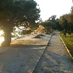 Mis * Petrcane