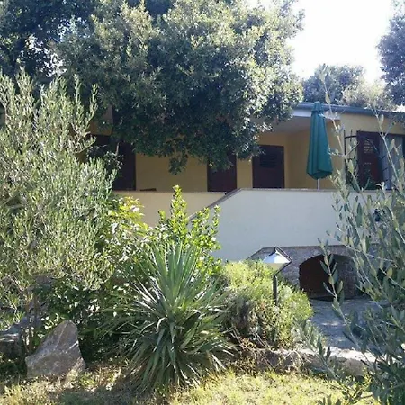 Mis 公寓 佩特坎内